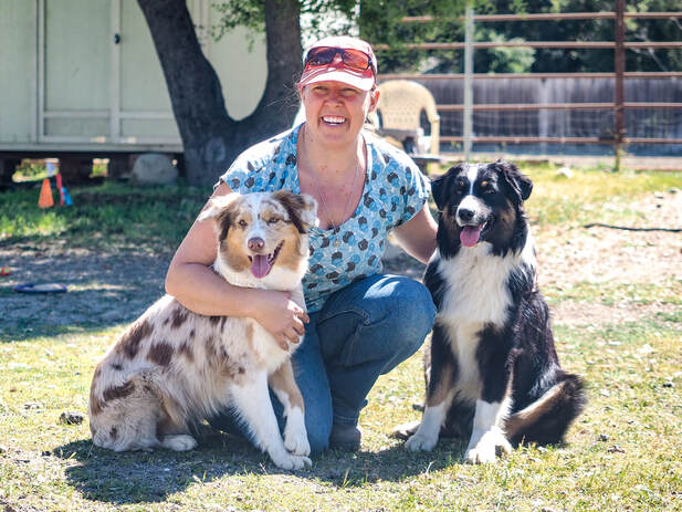 Meet Wiggle Bottom Ranch Shepherd Puppies